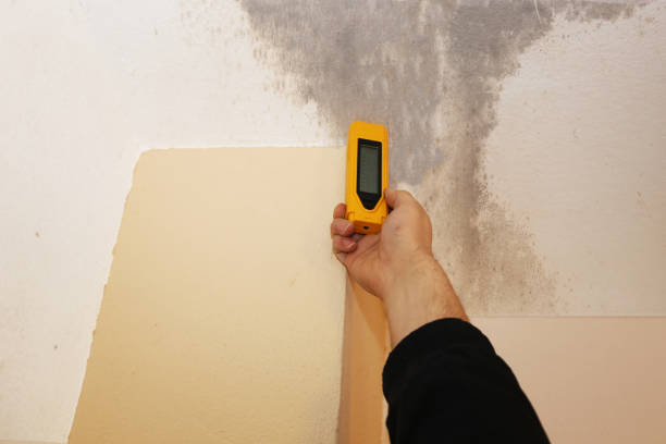 Best Asbestos and Lead Testing During Mold Inspection  in Union City, GA