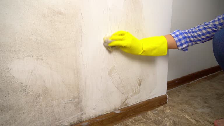 Best Basement Mold Removal  in Union City, GA