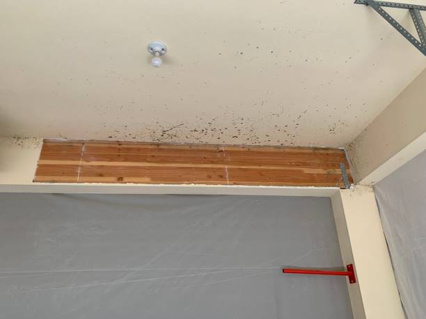 Best Post-Remediation Verification Testing  in Union City, GA