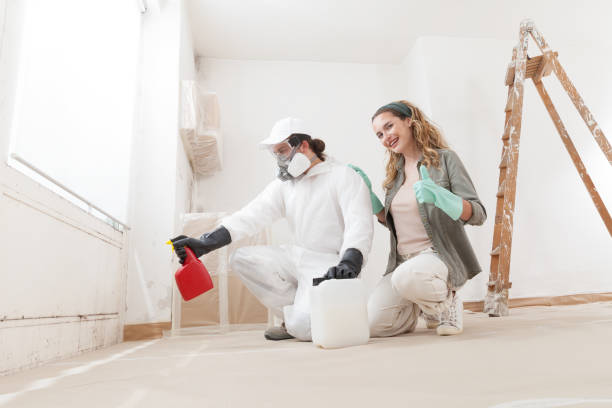  Union City, GA Mold Removal Pros